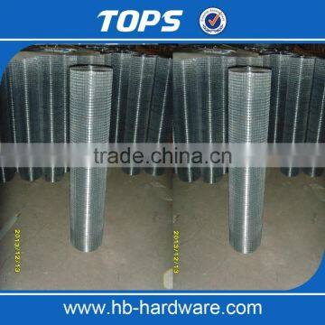 China Low Carbon Hot Dipped 1/4 Inch Galvanized Welded Wire Mesh photo-5