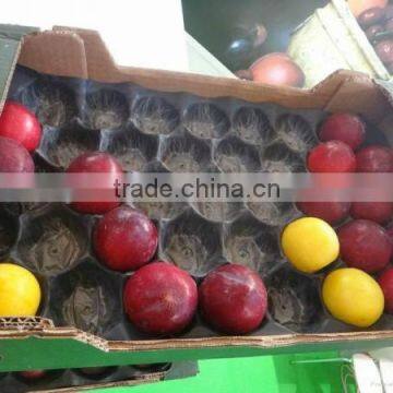 Laizhou Pengzhou Blister Packaging 29x49cm Alveolus PP Tray For Fresh Fruits photo-5