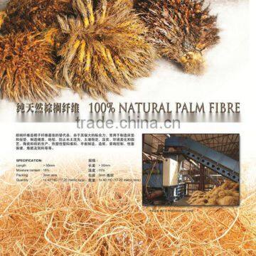 Oil Palm Fiber photo-5