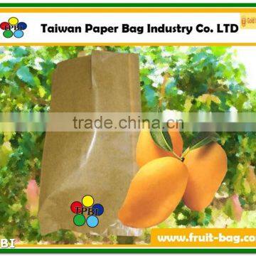 TPBI fruit growing paper bag pear paper bag paper wax fruit protective bags mango