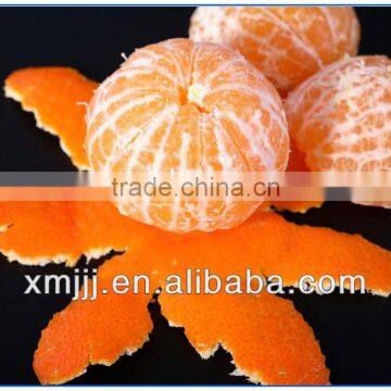 2013 Newly Harvest Satsuma Mandarin photo-2