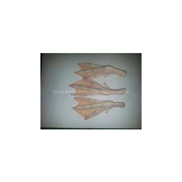 Duck Feet