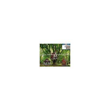 VARIED BIRD NEST ON SALE