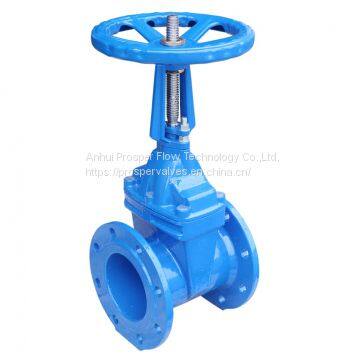 Rising Stem Resilient Seated Gate Valve