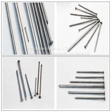 10 Years Factory Common Iron Nail With Best Price photo-3