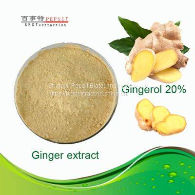 Pure natural plant extract ginger powder