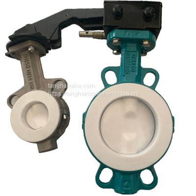 Fluorine lined PTFE butterfly valve