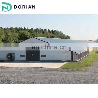 Prefabricated Free Range Chicken Shed House for Sale photo-2