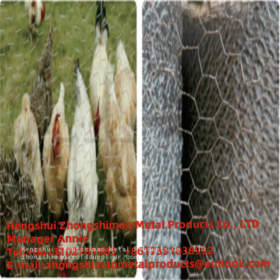 hexagonal wire mesh/chicken wire mesh/