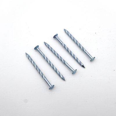 Twisted Shank Nails Q195 Material for Heavy-Duty Construction photo-3