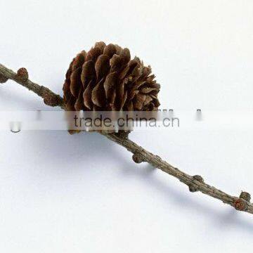 100% Christmas Natural Pine Cone For Decorative