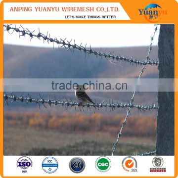 galvanized barbed wire