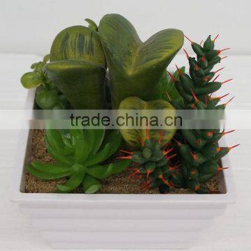 Best selling artificial wall hanging plant, artificial plants succulent plant