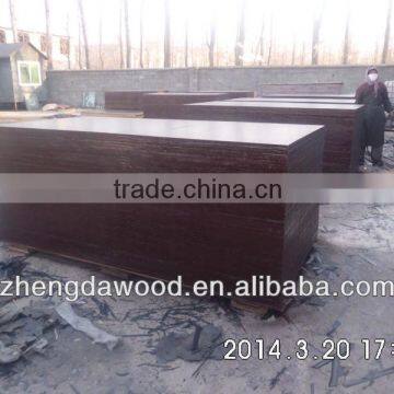 Romania Market Film Faced Plywood photo-2