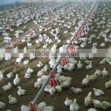 Full Set Automatic Broiler Feeding and Nipple Drinking System