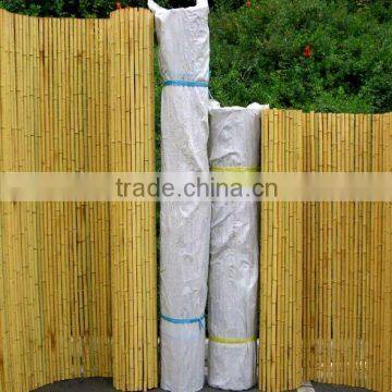 Bamboo Fence Sun-002