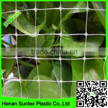 natural color bop bird net,high tensile anti bird mesh,trellis bird protection mesh