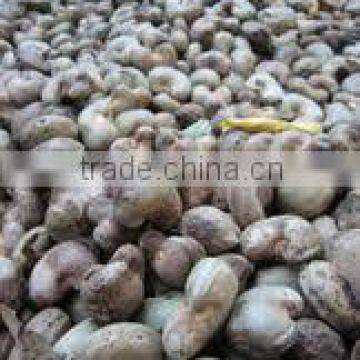 Suvimie Ceylon Ovened Cashew (Full Nut) photo-2