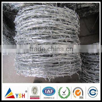 Galvanized/PVC Coated Barbed Wire(Anping Yongsheng Factory)