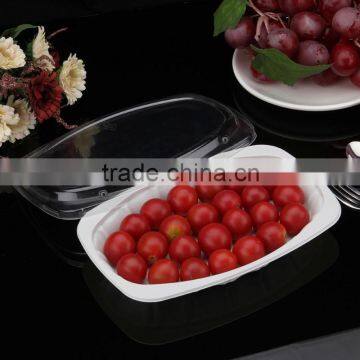 Food Grade Plastic FDA Approval Fast Food Tray photo-3