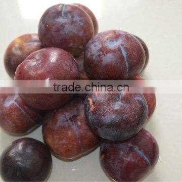 Fresh plum