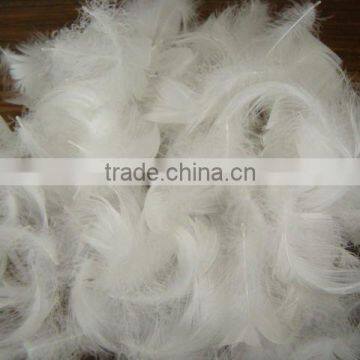 High filling power washed feather buy feathers