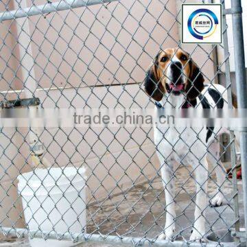 Galvanized Chain Link Fence Mesh, Samples for FREE! For dogs