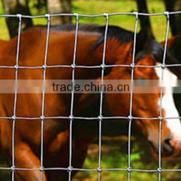 Horse Fence, 72 in. x 100 ft.feedlot panel ,farm fence panel, Field fence panel