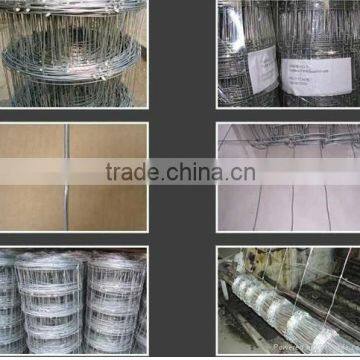 Cattle Sheep Annimal Fence/field Fence (manufacture)