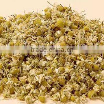 High Quality Dry Chamomile