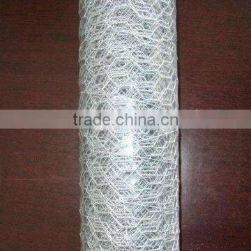 Poultry wire mesh(manufacturer)