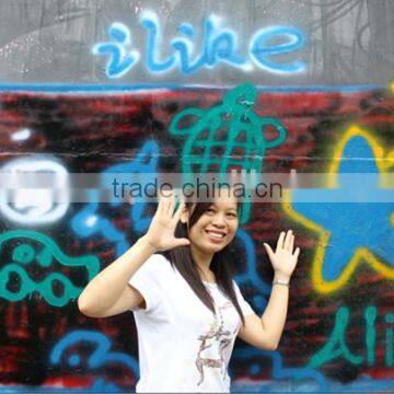 China Spray Paint Msds