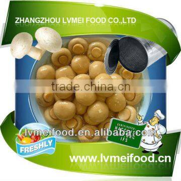 Canned Mushroom with Best Price