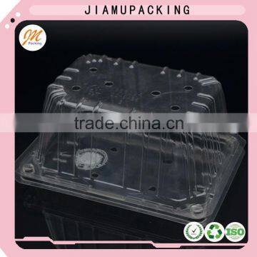 Hot Selling Plastic Clamshell Fruit Packaging photo-6
