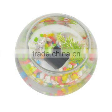 Petrainer PET998N-2 Vibration Electric Dog Collar For 2 Dogs photo-3