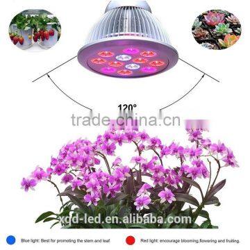 Newest Popular 7w Chip Led Grow Light photo-6