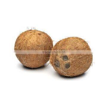 Best Indian Suppliers of Coconut