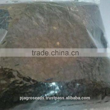 Hybrid Onion Seeds photo-4