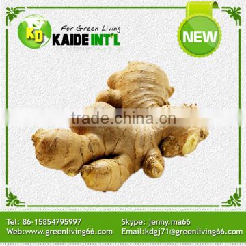 Nice Quality China Fresh Ginger Price Product