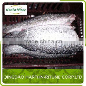 Iqf Frozen Red Tilapia Fillet Fish photo-5
