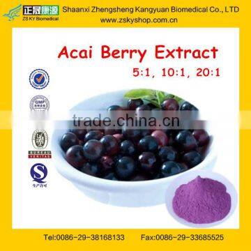 100% natural acai berry extract powder