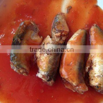 Canned Sardines with tomato sauce