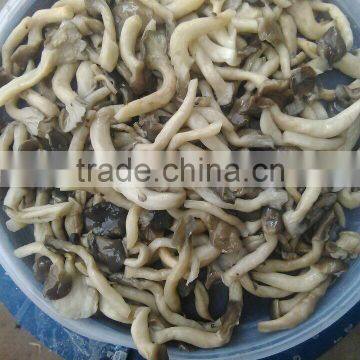 buyer for shimeji mushroom price for shimeji musroom