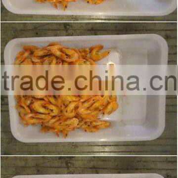 Dry Prawn In China Ningbo Port