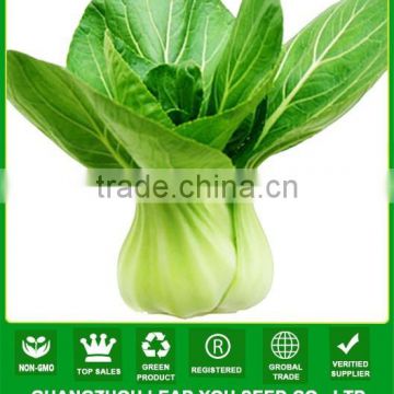 NPK06 Qinggu Good quality pak choi seeds factory for growing