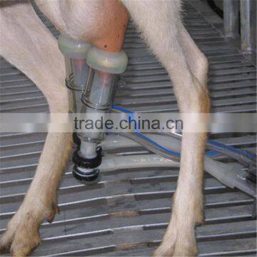 Farm Milking Parlour Plant for Goats and Sheep photo-2