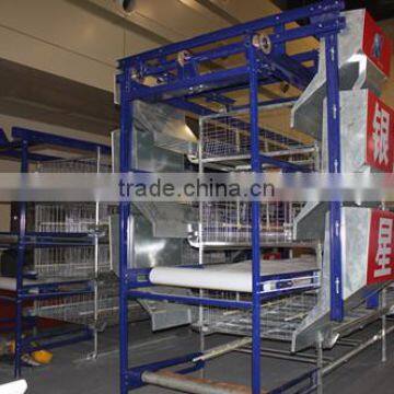 4 tier 240 layers chicken cage with auto manure clear system