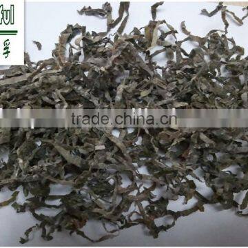 Dried Laminaria From South of China,dried Kombu, Sun Dried Kelp ,machine Dried Kelp Price photo-3