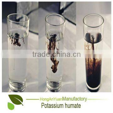 Marine Natural Organic Seaweed Extracts in Plant Health Fertilizer