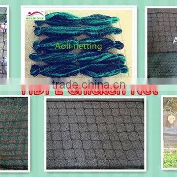 Breeding chicken net.Aviary net